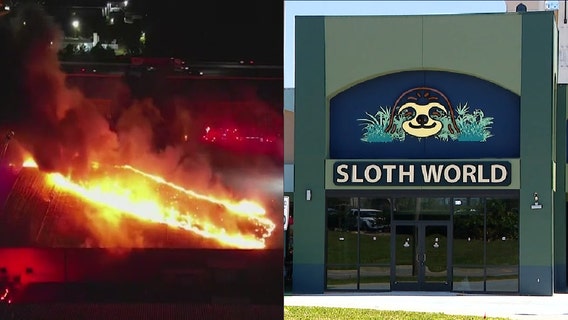 Orange County explores solutions for better warehouse oversight, after Sloth World, Magic in the Sky incidents