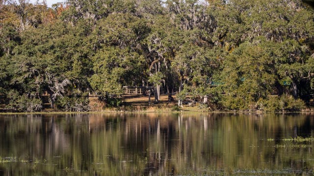 Authorities work to identify suspected drowning victim at Withlacoochee State Forest campground