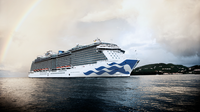 Princess crew member dies after going overboard on voyage out of Florida port