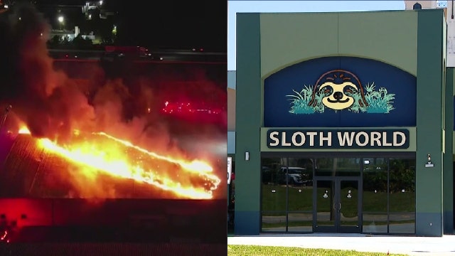 Orange County explores solutions for better warehouse oversight, after Sloth World, Magic in the Sky incidents