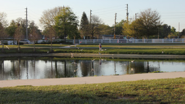 Calling all artists! Orange County seeks public art for Barber Park Recreation Center