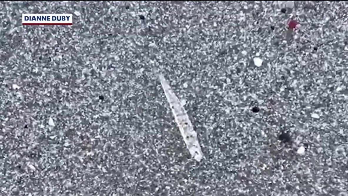 Mystery on the Space Coast: What are these clear ‘jumping sticks’ on the beach?