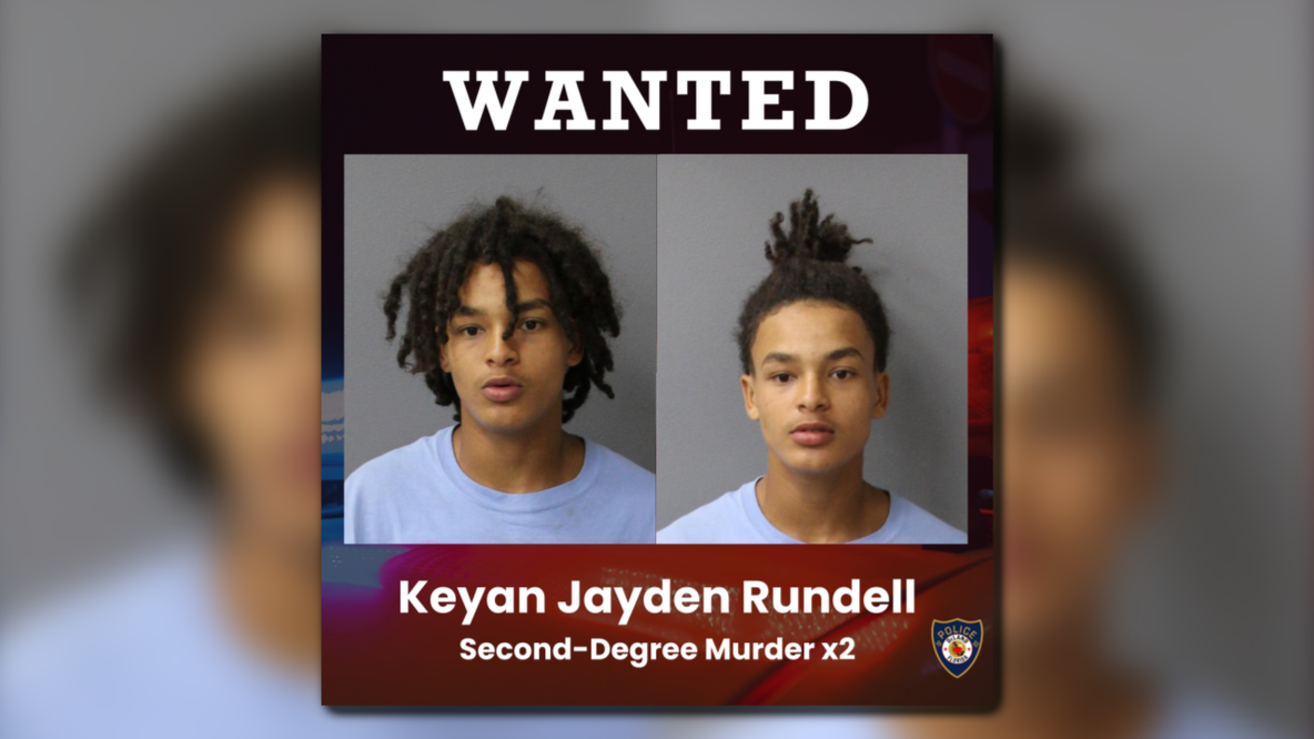 Police identify teen suspect in double homicide murder of childhood friends