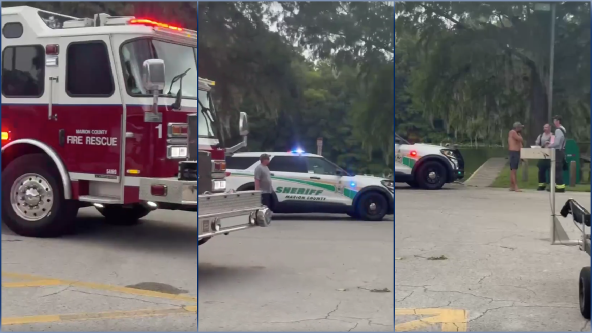 Woman's arm amputated after surviving alligator bite in Marion County Silver River, family says