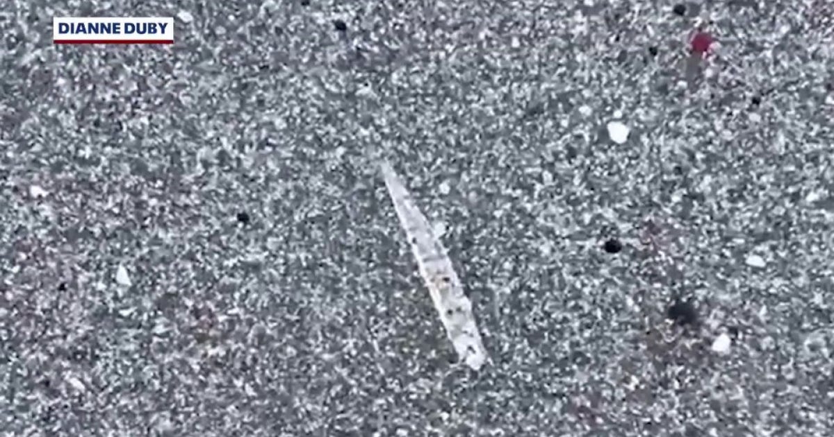 Mystery on the Space Coast: What are these clear ‘jumping sticks’ on the beach?