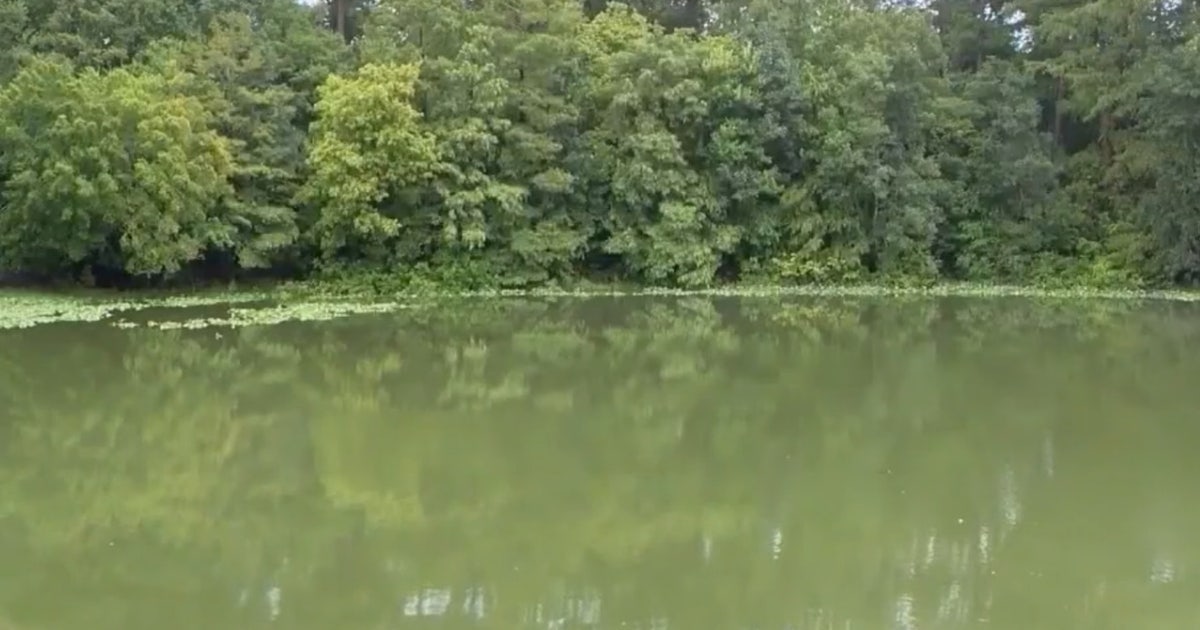 Paddleboarder helps save woman attacked by gator in Marion County river