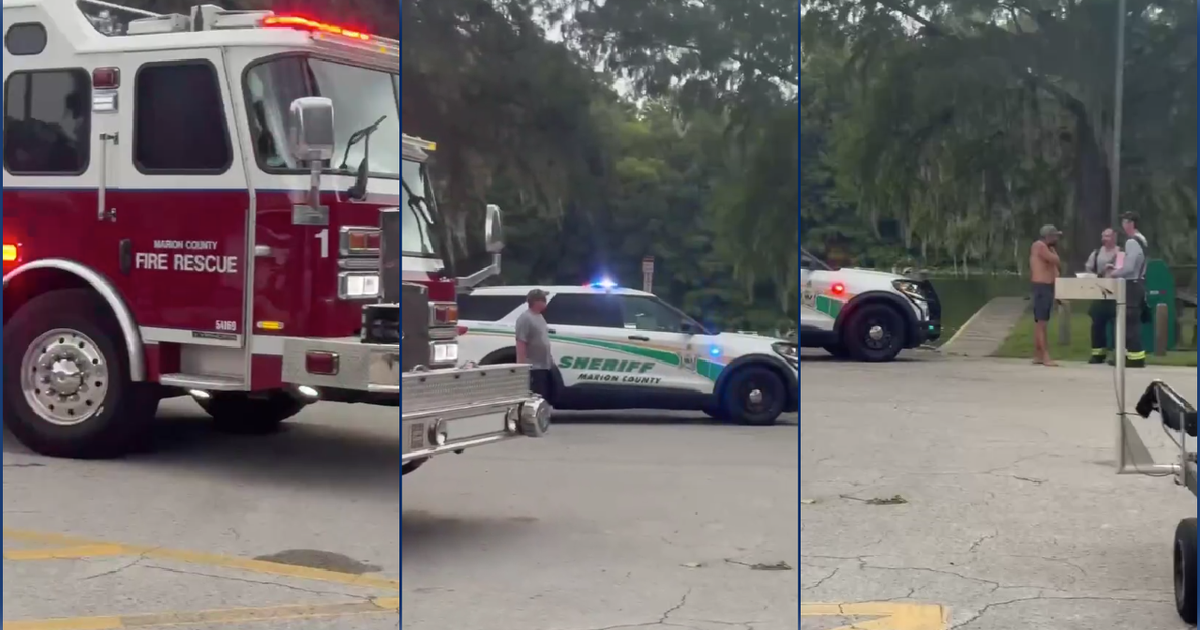 Good Samaritan recounts saving woman after alligator bite