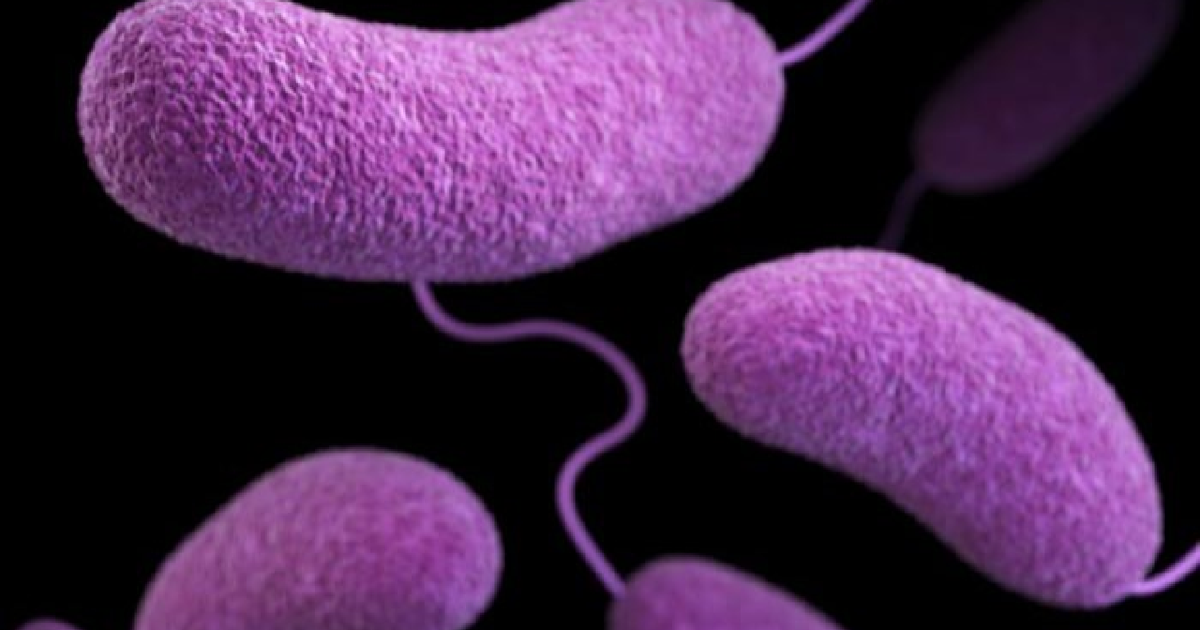 Florida reports 2nd 'flesh-eating' bacteria death of 2026 as cases reach 14