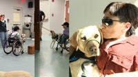 Canine Companions pair 13 service animals with human companions: 'such a joyful gift'