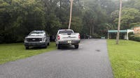 Woman bitten by alligator in Marion County: FWC