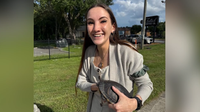 Woman pulled over on Colonial Drive loses leg after being struck by hit-and-run driver