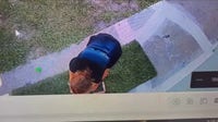 Woman accused of setting artwork on fire behind Cape Canaveral strip mall: 'Bad decision'