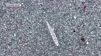 Mystery on the Space Coast: What are these clear ‘jumping sticks’ on the beach?