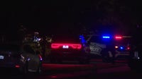 Person shot and killed at Palm Bay park, police say