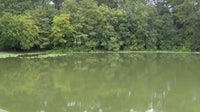 Paddleboarder helps save woman attacked by gator in Marion County river