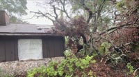 Storms topple trees, damage homes in Ocala neighborhood