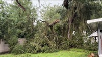 Strong storms damage homes, topple trees in Brevard County