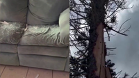 Rockledge man thankful to be alive after lightning sends massive tree shards through house