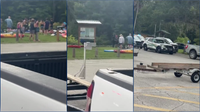 Alligator bites woman on arm in Marion County Silver River; gator removed from area: FWC