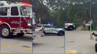Woman's arm amputated after surviving alligator bite in Marion County Silver River, family says