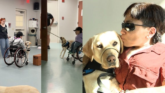 Canine Companions pair 13 service animals with human companions: 'such a joyful gift'