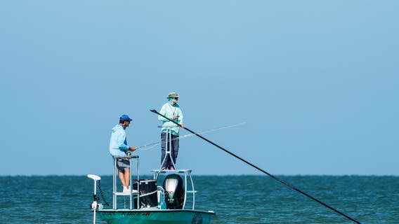 FWC sets 2026 Gulf gag grouper recreational fishing season dates