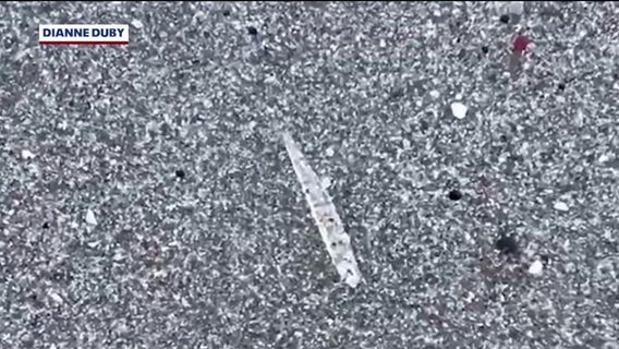 Mystery on the Space Coast: What are these clear ‘jumping sticks’ on the beach?
