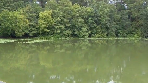 Paddleboarder helps save woman attacked by gator in Marion County river