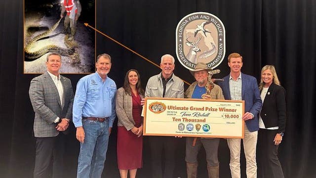 Florida Python Challenge 2026 winner: 96 snakes and $10K grand prize