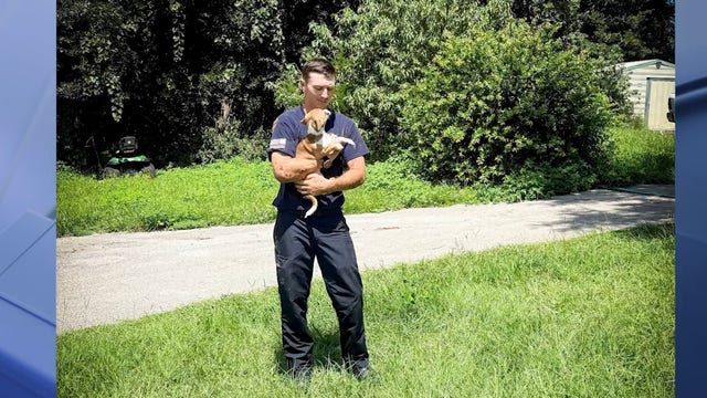 Firefighters rescue dog trapped in Marion County sinkhole
