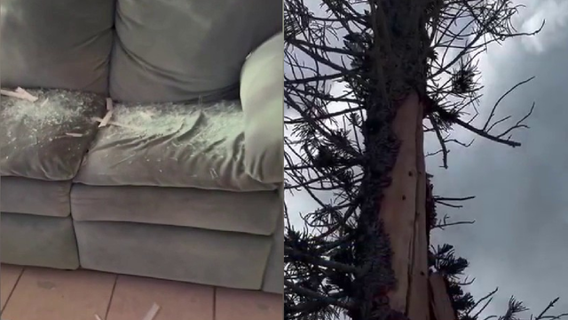 Rockledge man thankful to be alive after lightning sends massive tree shards through house