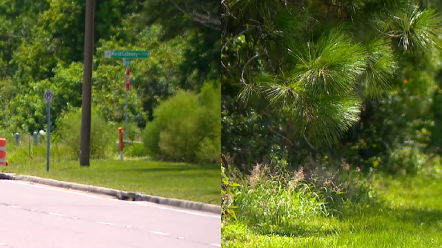 Skeletal remains found near I-Drive in Orange County, deputies say