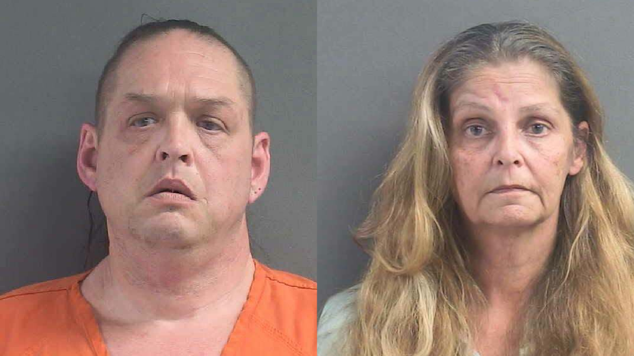 2 arrested after neglected dog found in New Smyrna Beach, officials say