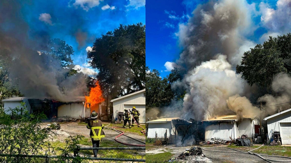 10 dogs killed in Marion County fire, officials say
