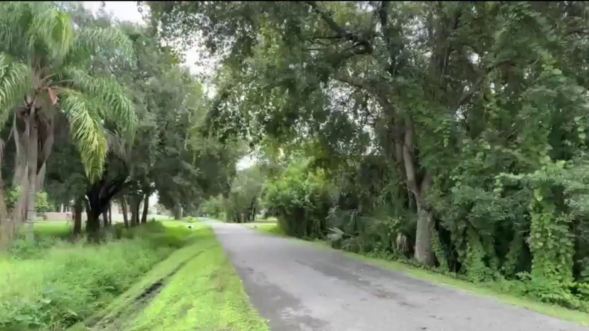 911 calls: Lightning strike sends couple to hospital after walk on West Orange Trail
