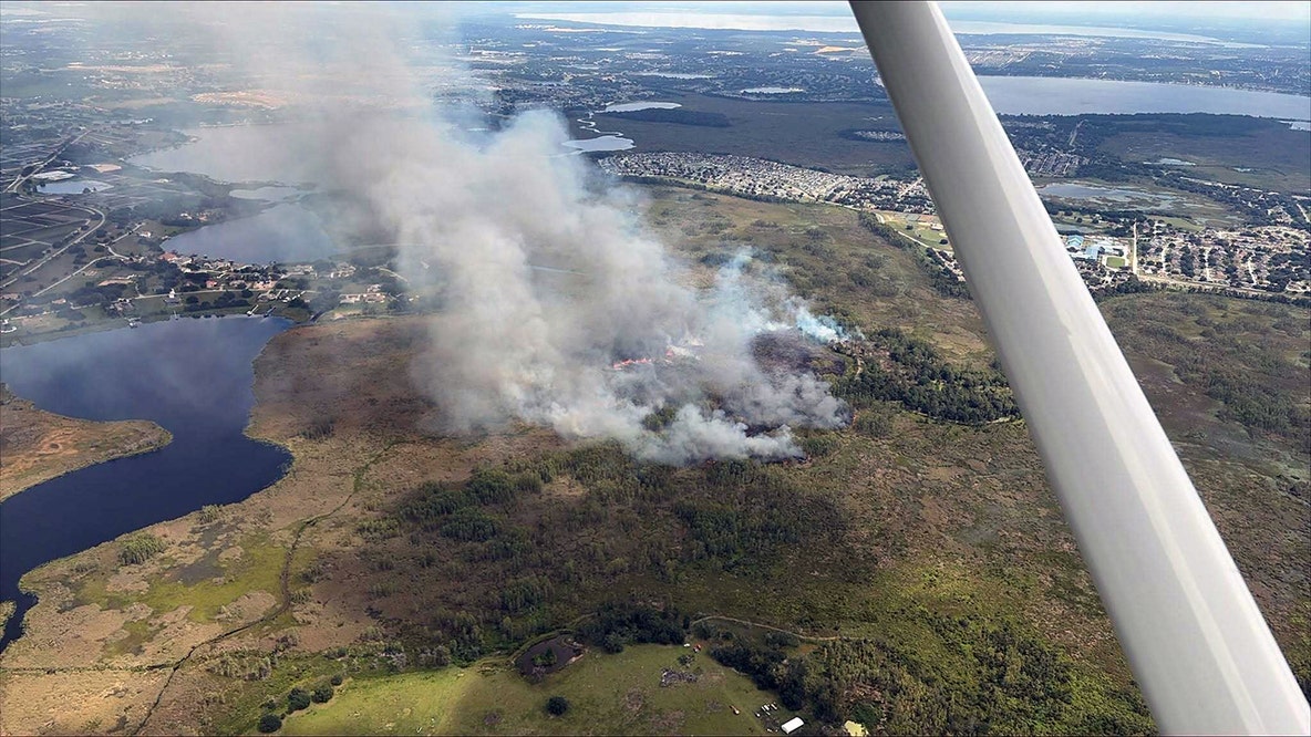 Marsh wildfire grows to 200 acres near Groveland