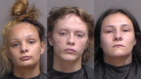3 arrested after alleged attempt to hide wanted fugitive, deputies say
