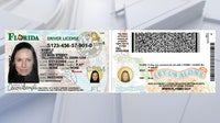 Florida driver's license gets redesigned: See the new look, features