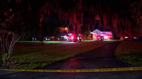 8 cats dead, 5 surrendered, dozens of others rescued after house fire, officials say
