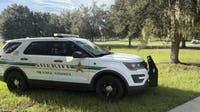 11-year-old girl struck by car while crossing road in Winter Garden