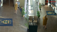 Port Orange shooting: Woman fires gun inside police lobby, shot by officers, chief says