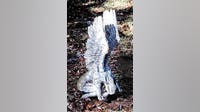 Deputies investigate theft of grave marker in Sumter County