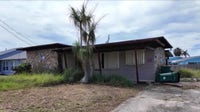‘Very scared’: Wild animals take over Indialantic street near condemned home