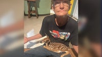 Deputies search for missing, endangered man in Sumter County
