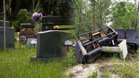 Grieving husband's fight to clean illegal dumping ground near wife's grave pays off