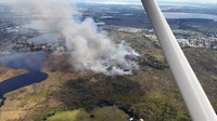Marsh wildfire grows to 200 acres near Groveland