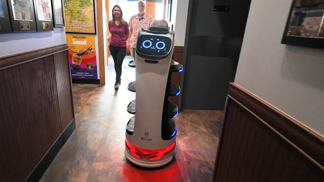 New BellaBot delivering food at Hollerbach’s German Restaurant in Sanford