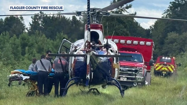 Injured hunter rescued from remote Flagler County woods after fall from tree