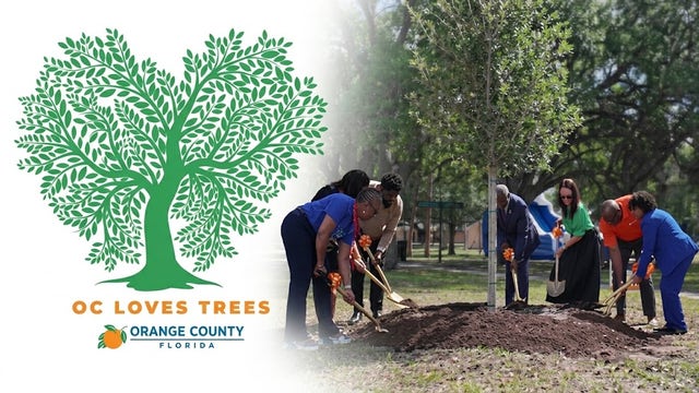 Orange County begins work on first Urban Forest Master Plan