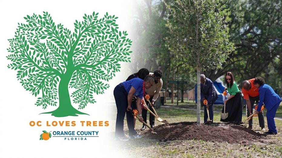 Orange County begins work on first Urban Forest Master Plan